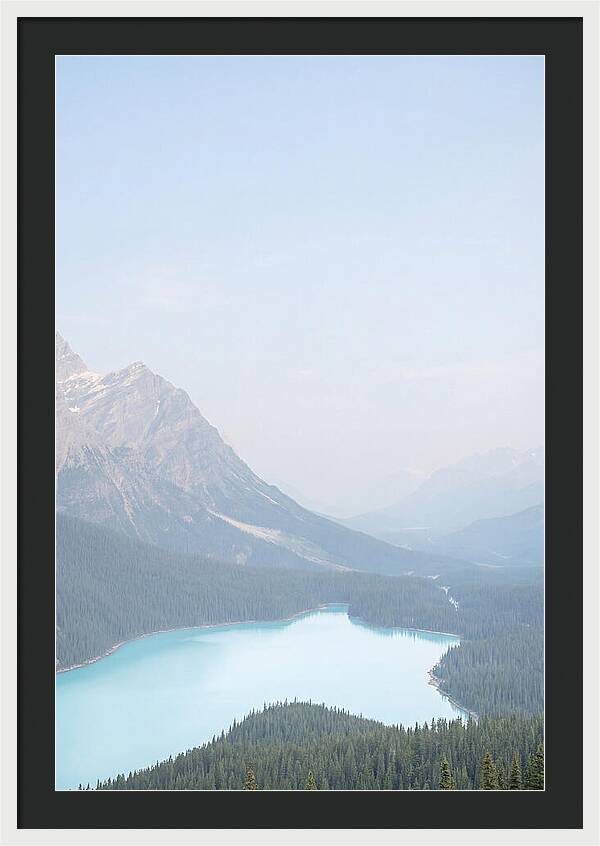 Bow Summit Overlooking Peyto Lake