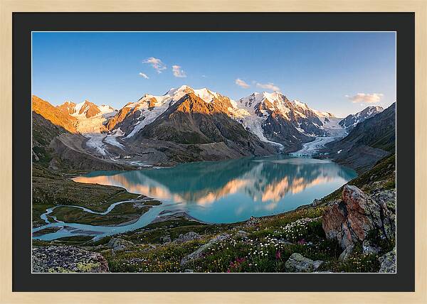 Bowman Lake Alpine Vista