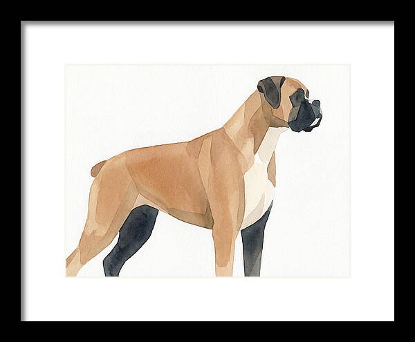 Boxer Dog Minimalist Portrait