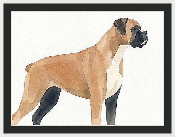 Boxer Dog Minimalist Portrait
