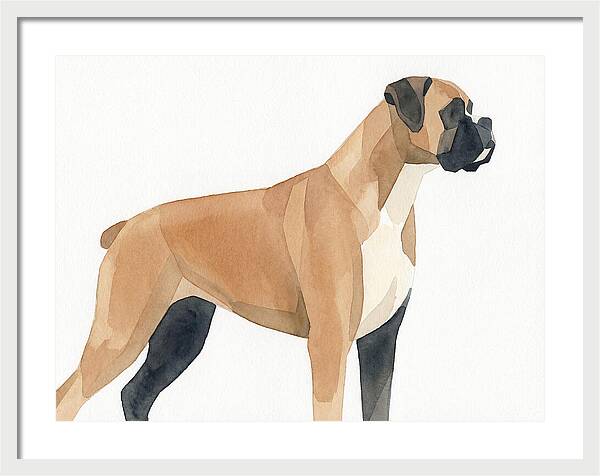 Boxer Dog Minimalist Portrait