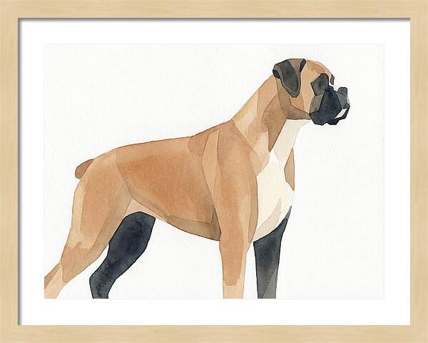 Boxer Dog Minimalist Portrait