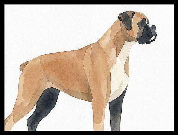Boxer Dog Minimalist Portrait