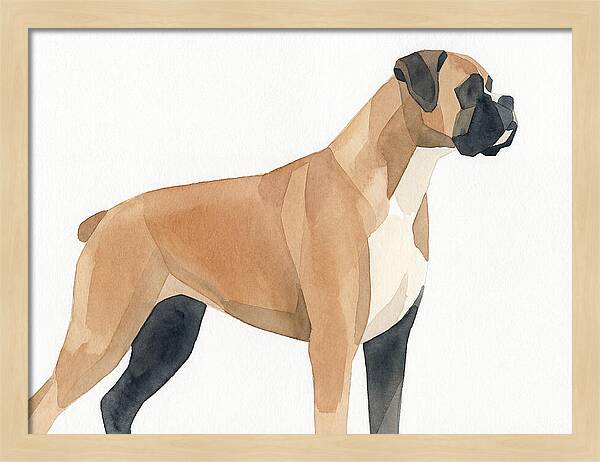Boxer Dog Minimalist Portrait