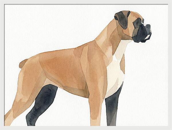 Boxer Dog Minimalist Portrait