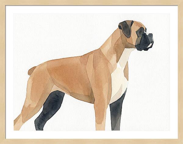 Boxer Dog Minimalist Portrait