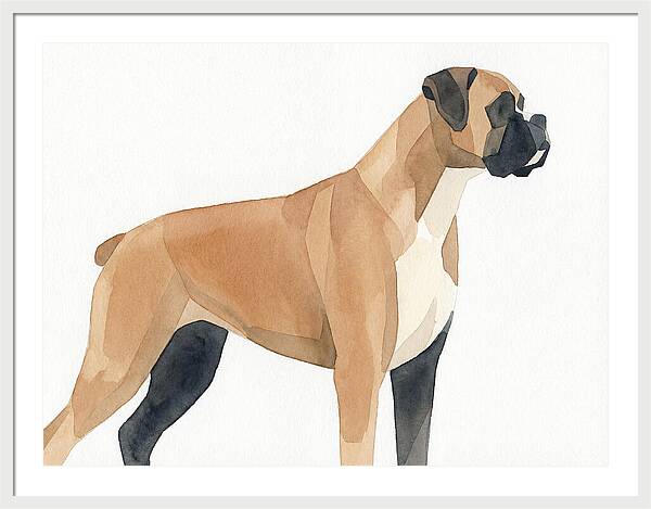 Boxer Dog Minimalist Portrait