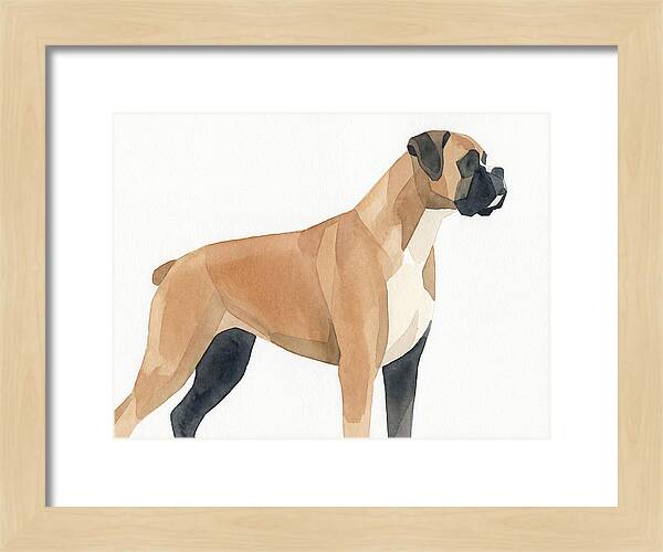 Boxer Dog Minimalist Portrait