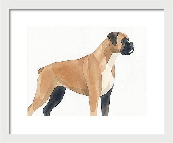 Boxer Dog Minimalist Portrait