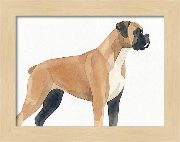 Boxer Dog Minimalist Portrait