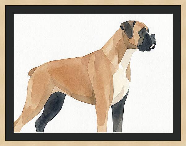 Boxer Dog Minimalist Portrait