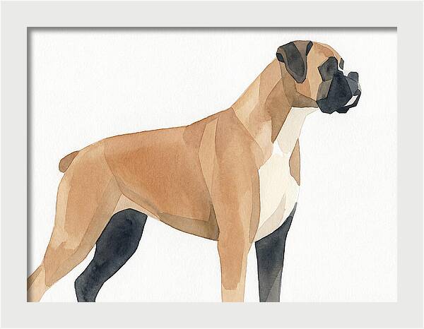 Boxer Dog Minimalist Portrait