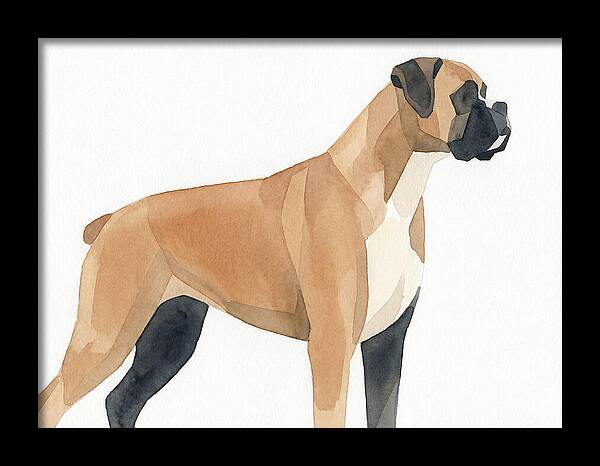 Boxer Dog Minimalist Portrait