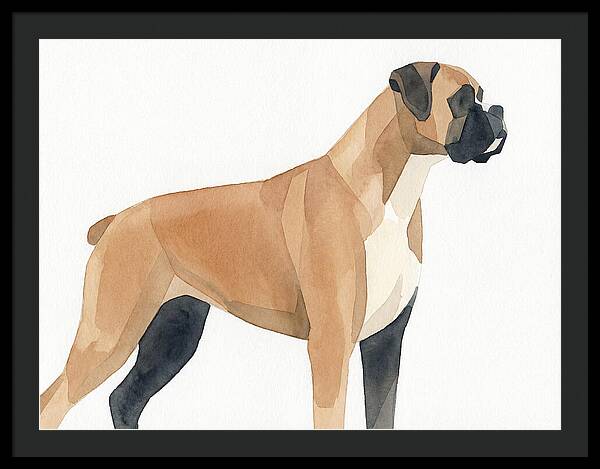 Boxer Dog Minimalist Portrait