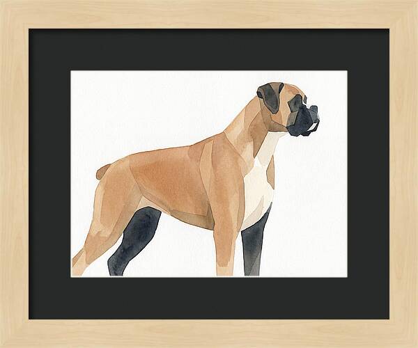 Boxer Dog Minimalist Portrait