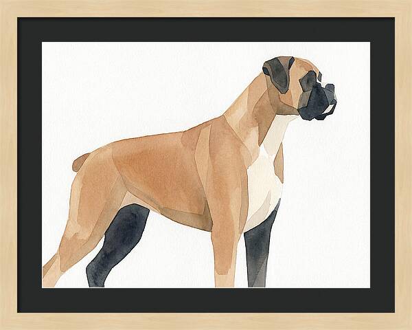Boxer Dog Minimalist Portrait
