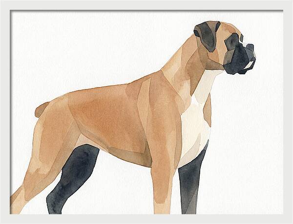 Boxer Dog Minimalist Portrait