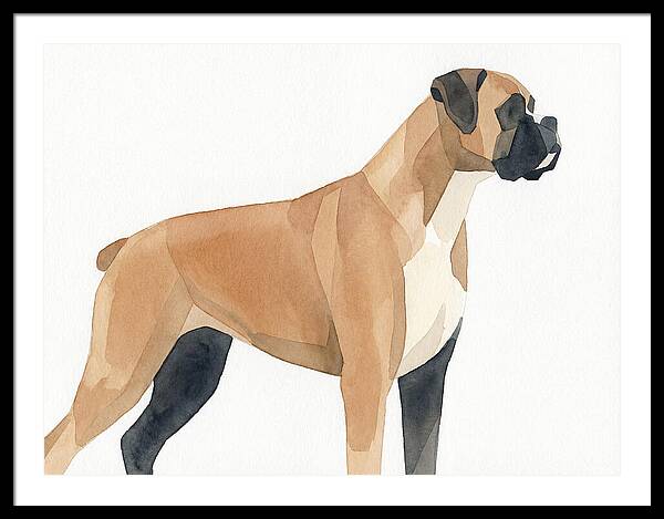 Boxer Dog Minimalist Portrait