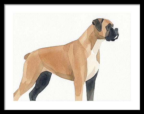 Boxer Dog Minimalist Portrait