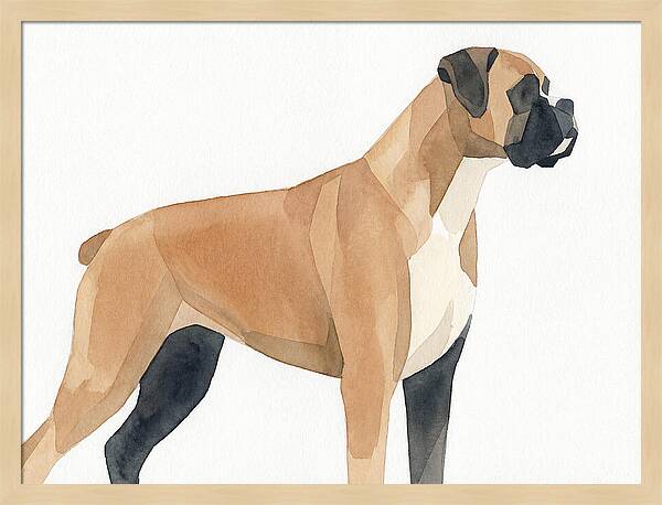 Boxer Dog Minimalist Portrait