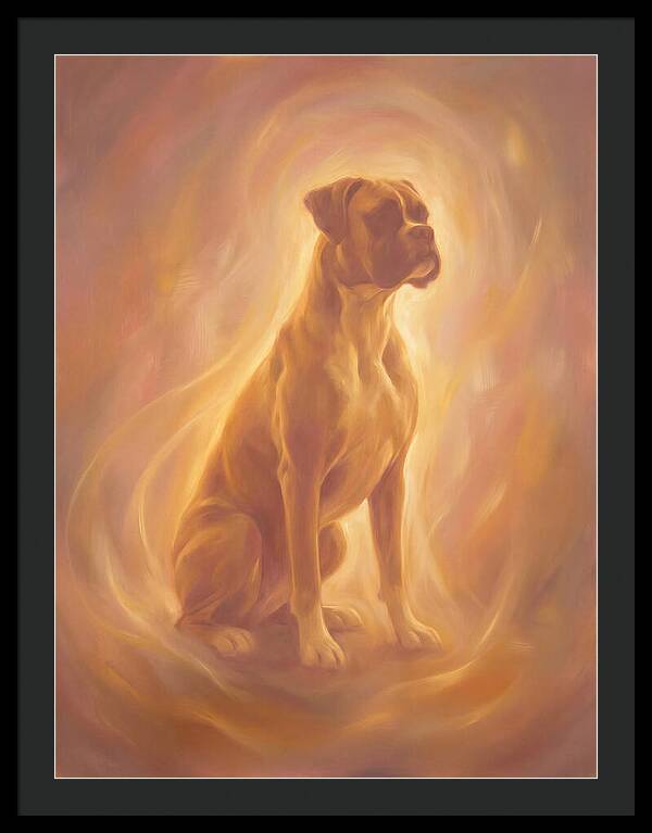 Boxer Portrait