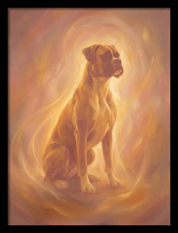 Boxer Portrait