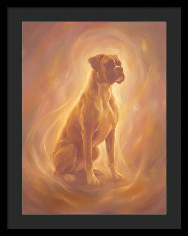 Boxer Portrait