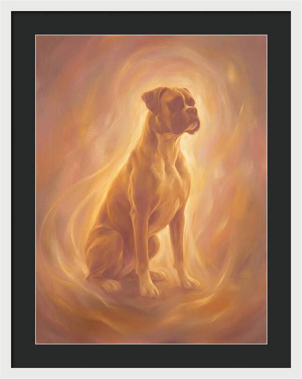 Boxer Portrait
