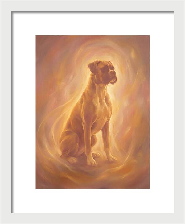 Boxer Portrait
