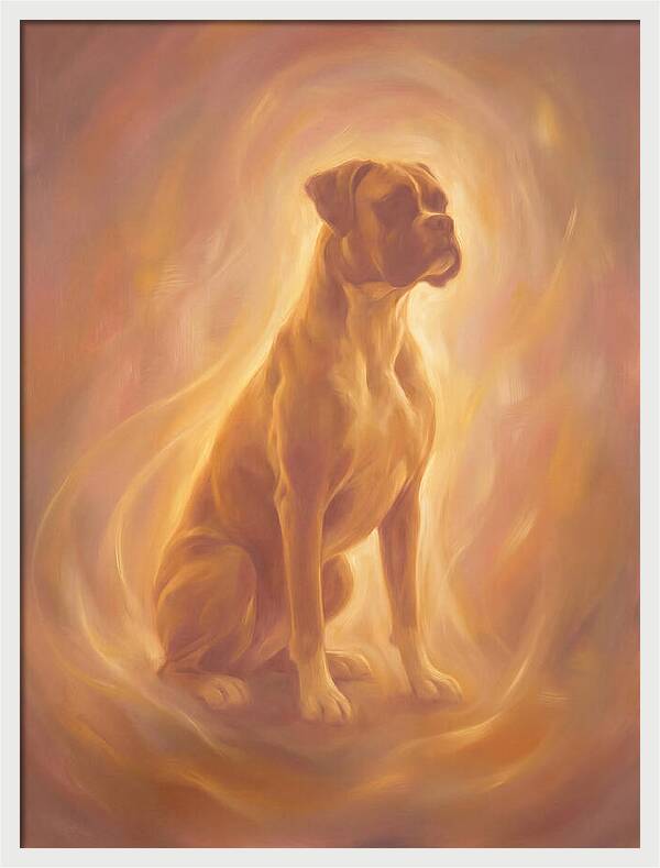 Boxer Portrait
