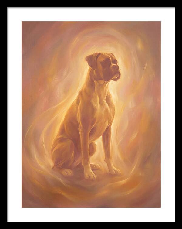 Boxer Portrait