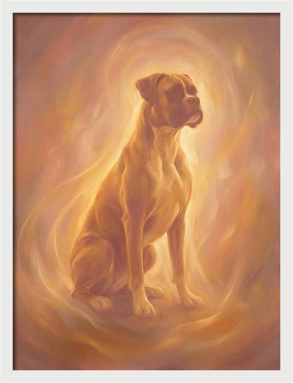 Boxer Portrait