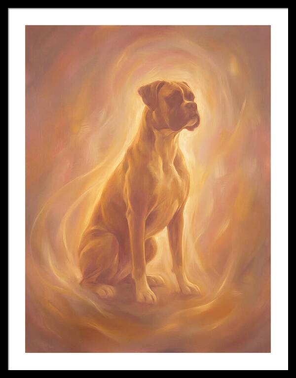 Boxer Portrait