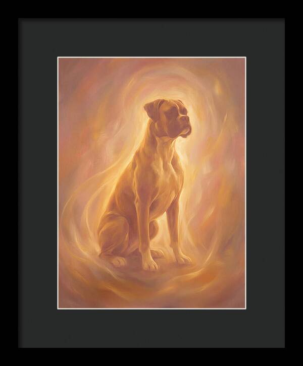Boxer Portrait