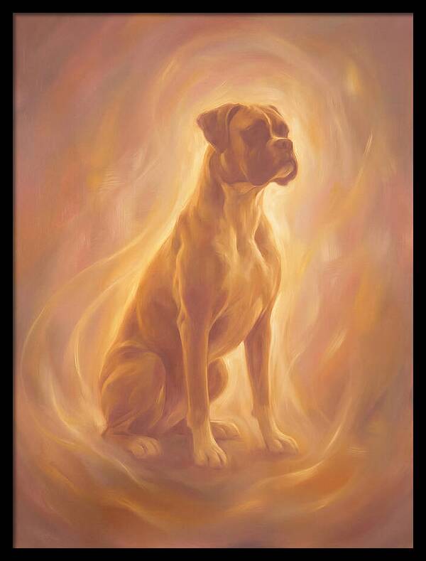 Boxer Portrait