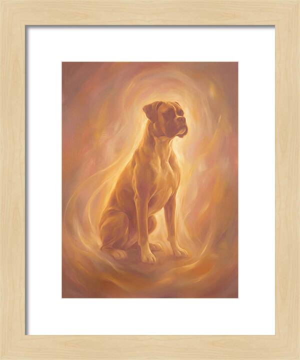 Boxer Portrait