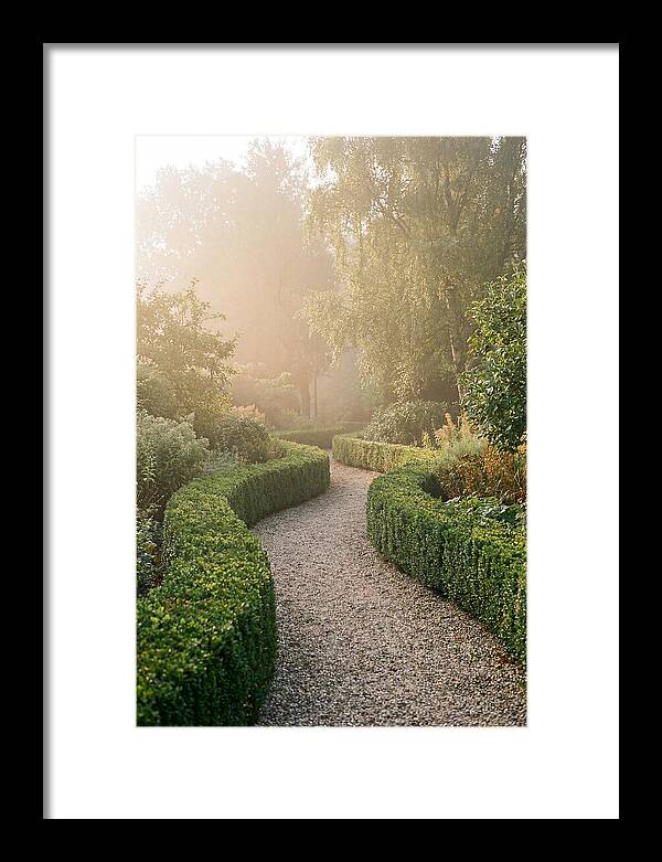 Boxwood Lined Garden Path
