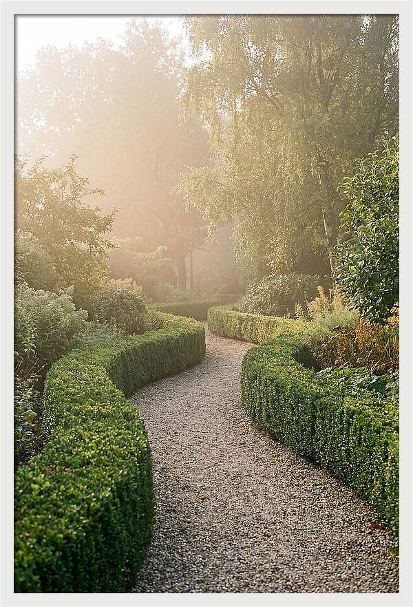 Boxwood Lined Garden Path