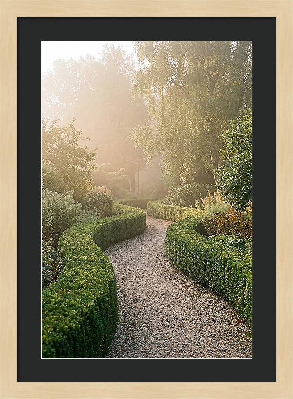 Boxwood Lined Garden Path