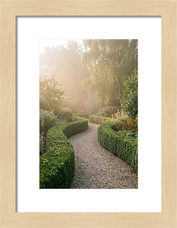 Boxwood Lined Garden Path