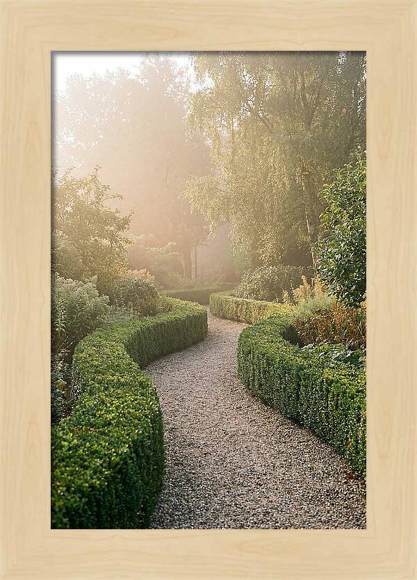 Boxwood Lined Garden Path