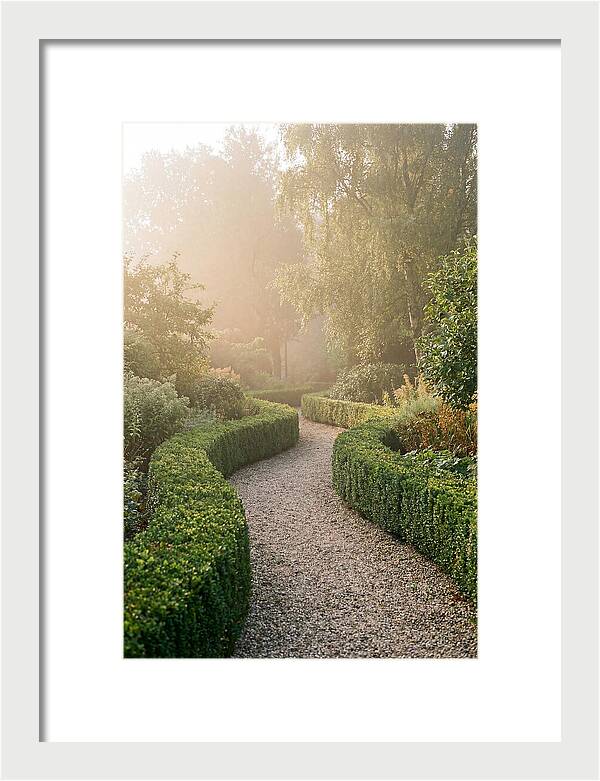 Boxwood Lined Garden Path