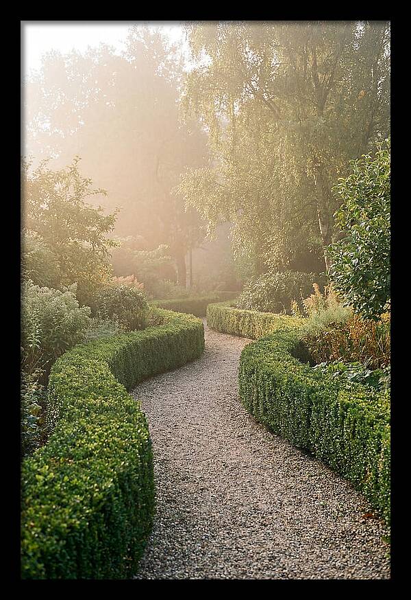 Boxwood Lined Garden Path