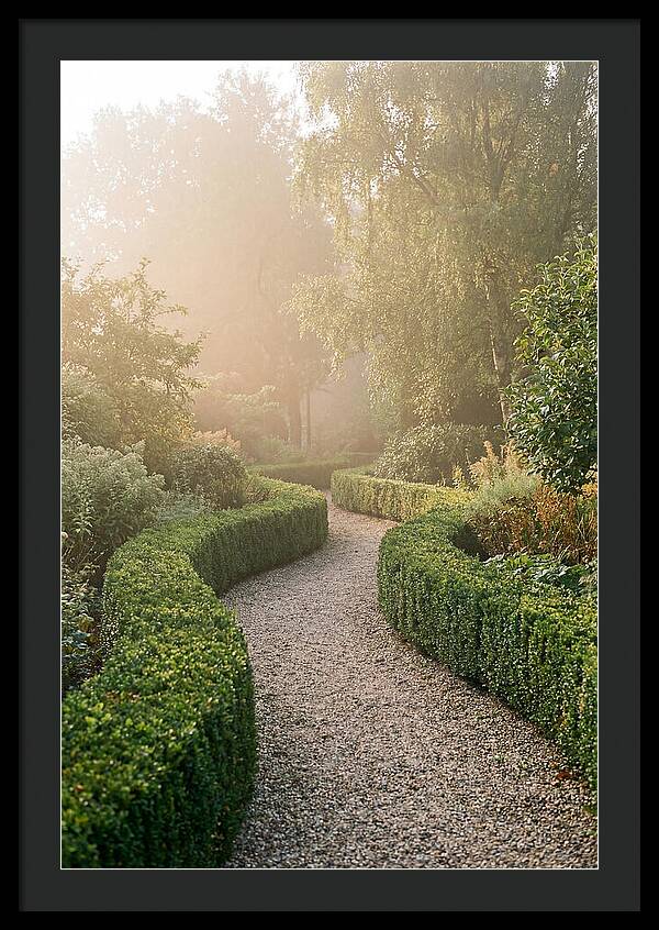 Boxwood Lined Garden Path