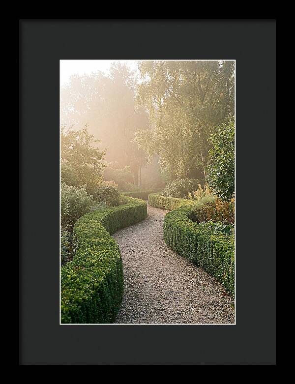 Boxwood Lined Garden Path