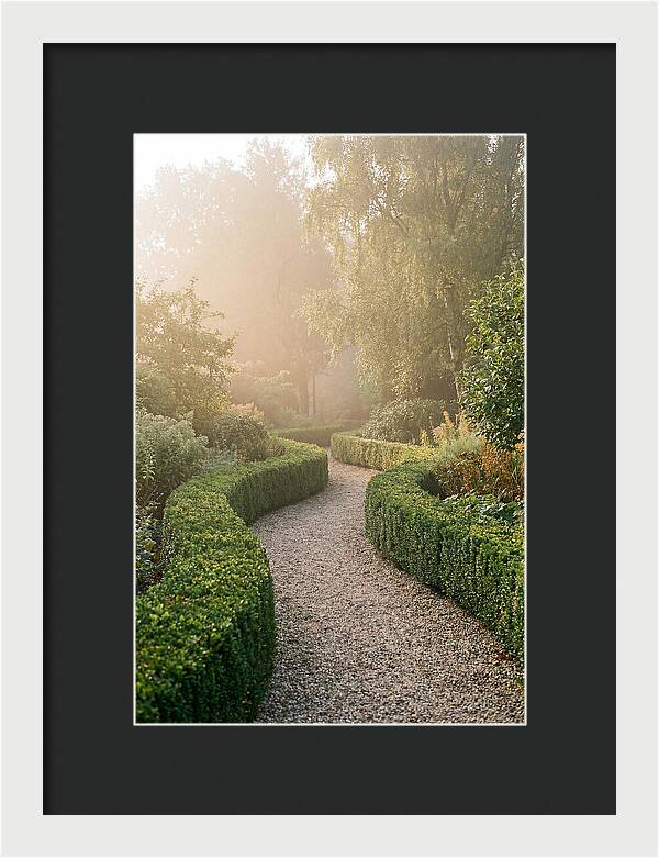 Boxwood Lined Garden Path
