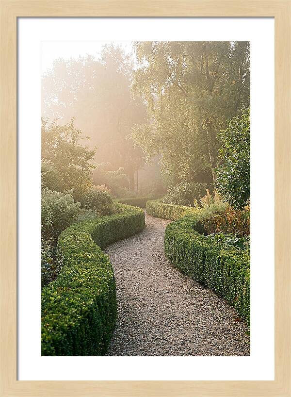 Boxwood Lined Garden Path