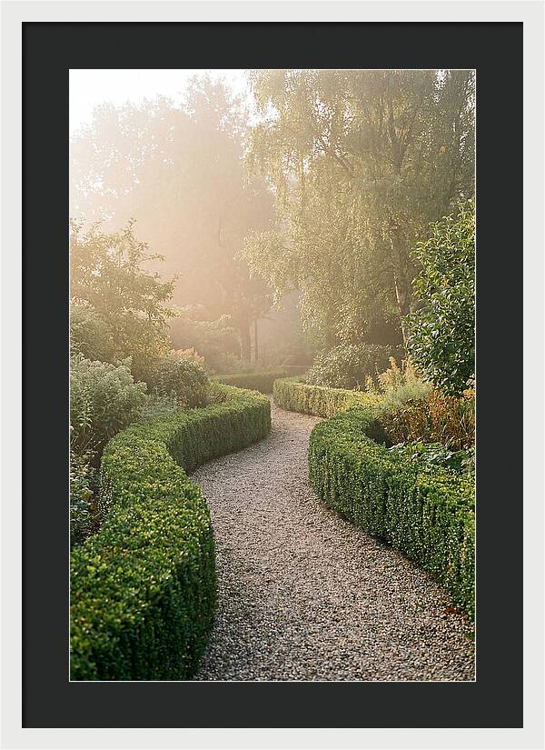 Boxwood Lined Garden Path