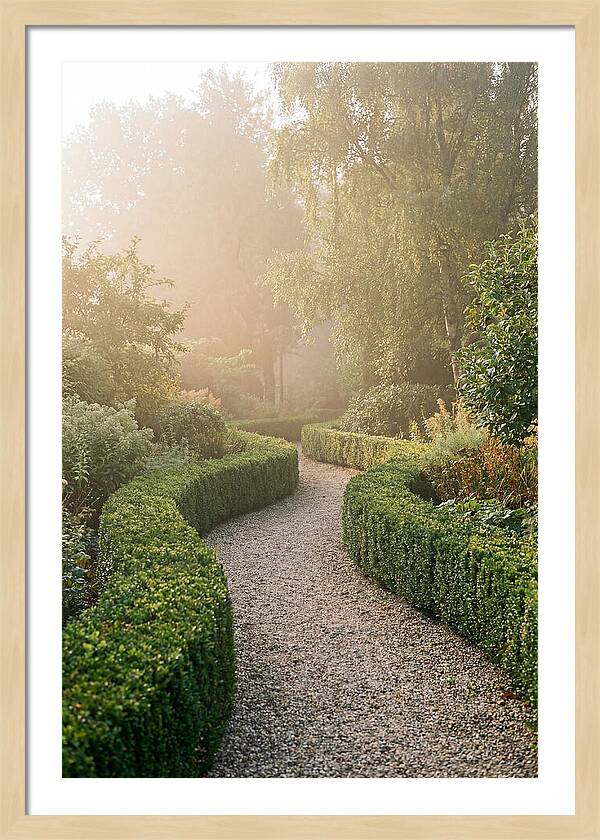 Boxwood Lined Garden Path