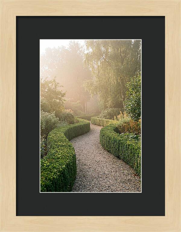 Boxwood Lined Garden Path